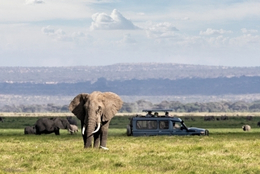 Orta ve Güney Afrika