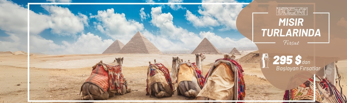 misir-turlari