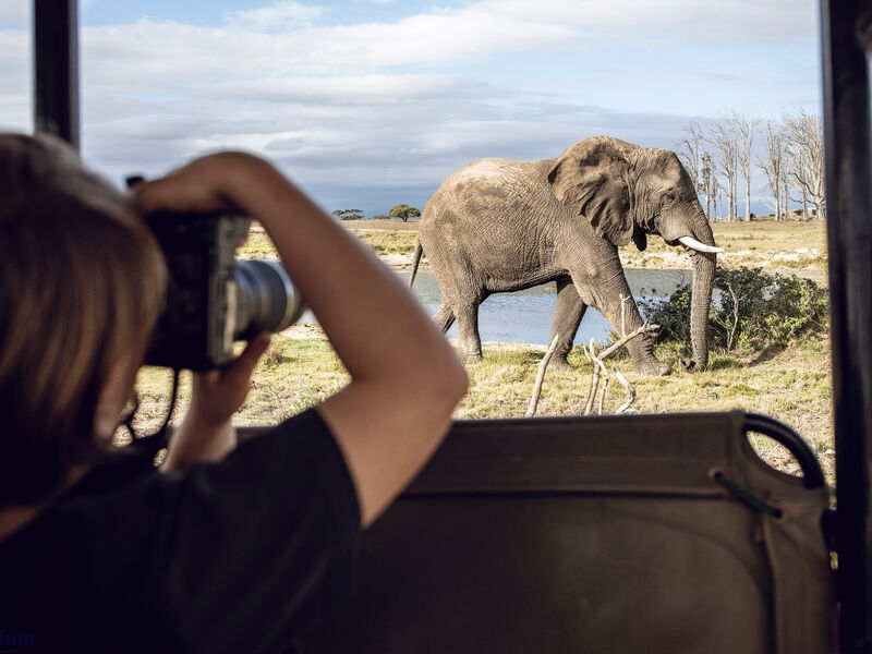 Cape Town Rüyası Turu - THY ile 5 Gece - Bayram Özel