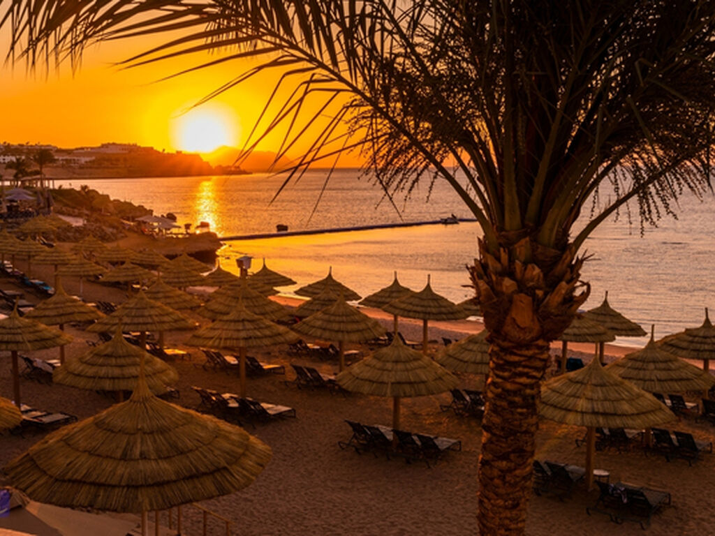 Sharm El Sheikh - Kızıldeniz Rotası Turu - THY ile 4 Gece V2