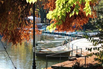 Bükreş & Transilvanya Turu Rotası - Otobüs ile 2 Gece 