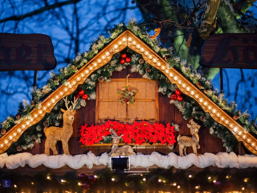 Dolu Dolu Alsace & Colmar & Strazburg Noel Pazarları Rotası Turu V2 - THY ile 4 Gece - Tüm Turlar Dahil