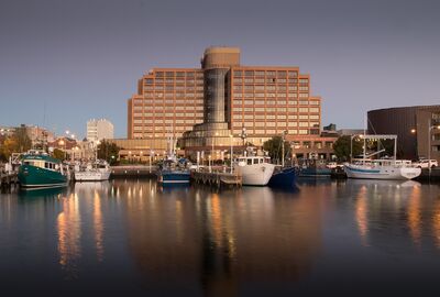 Elegant Avustralya & Yeni Zelanda & Tazmanya Turu - THY ile 11 Gece - Ekstra Turlar Dahil