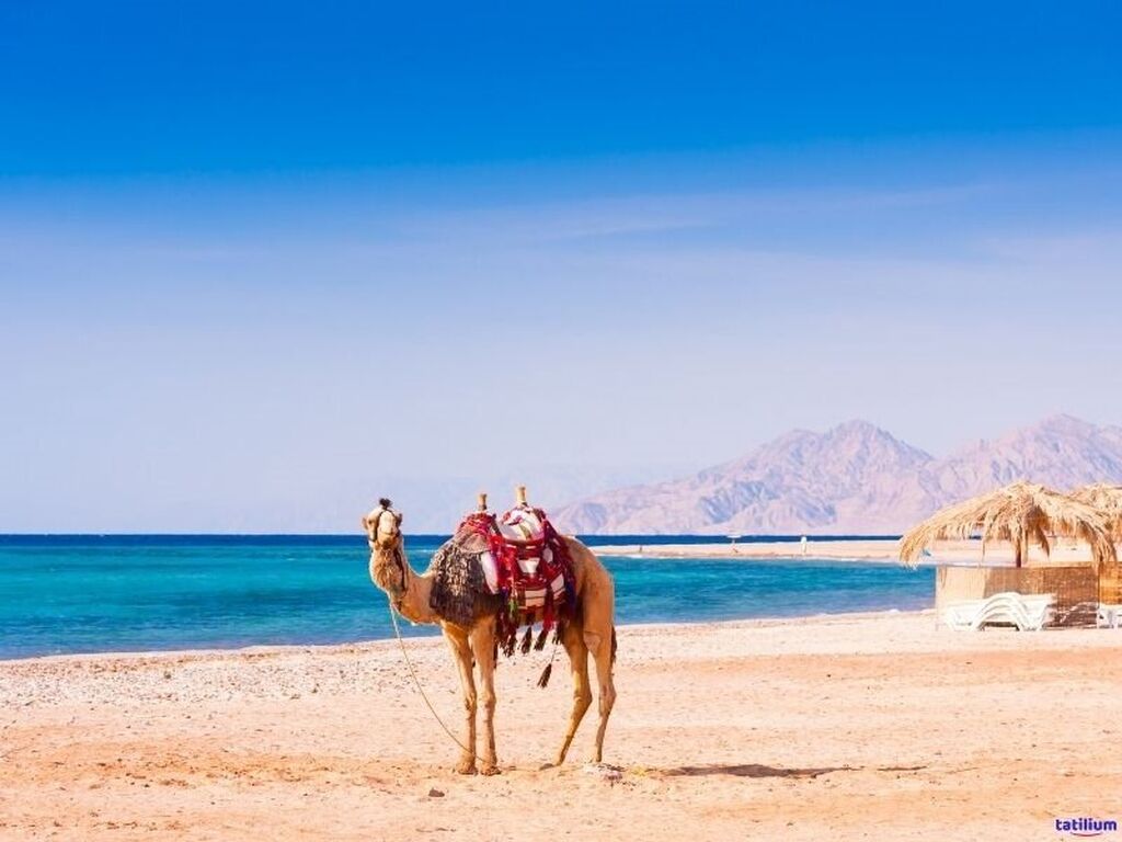 Hurghada Turu - AJet HY ile 3 Gece - Her Şey Dahil Konaklama - 19 Mayıs & 15 Temmuz Özel