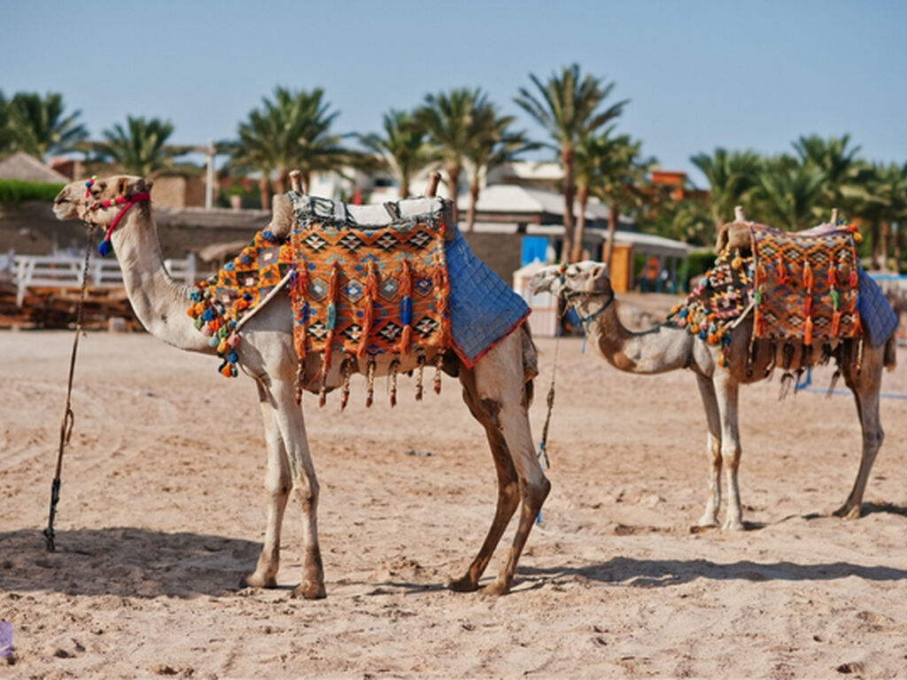Sharm El Sheikh Turu - AJet HY ile 5 Gece - Her Şey Dahil Konaklama
