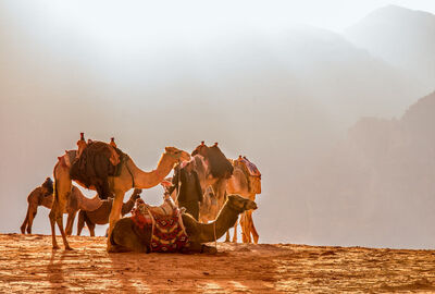 Elegant Fas Turu - THY ile 4 Gece - Ekstra Turlar Dahil (RAK-CMN)