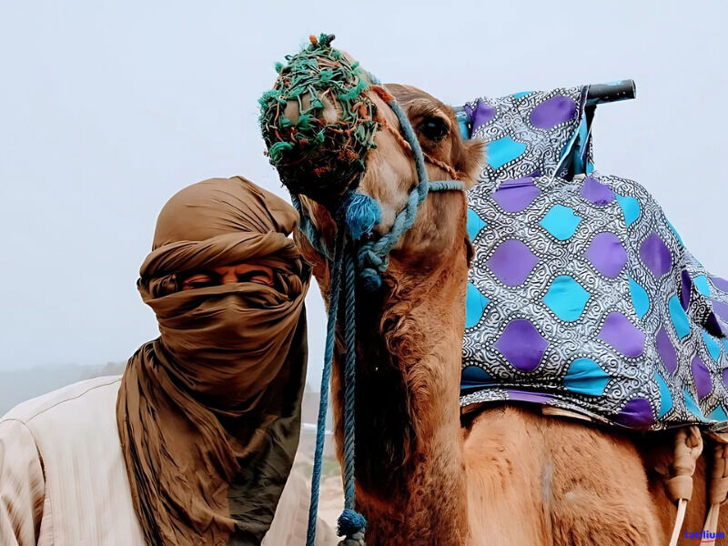 Elegant Fas Turu - THY ile 4 Gece - Ekstra Turlar Dahil (RAK-CMN)