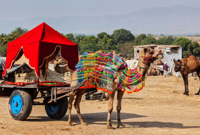Elegant Sahra Çölü & Fas İkonları Turu - Pegasus HY ile 7 Gece - Ekstra Turlar Dahil
