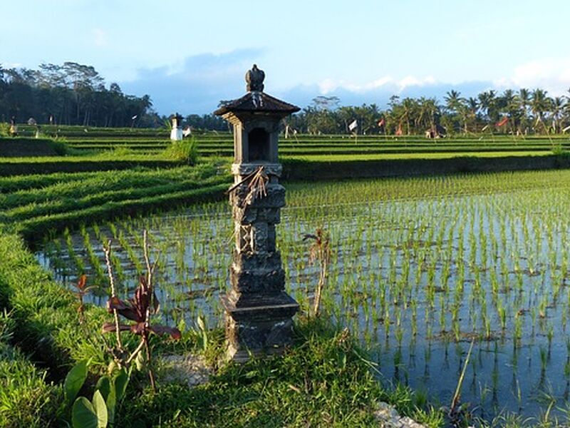 Bali & Ubud Turu Emirates ile 6 Gece