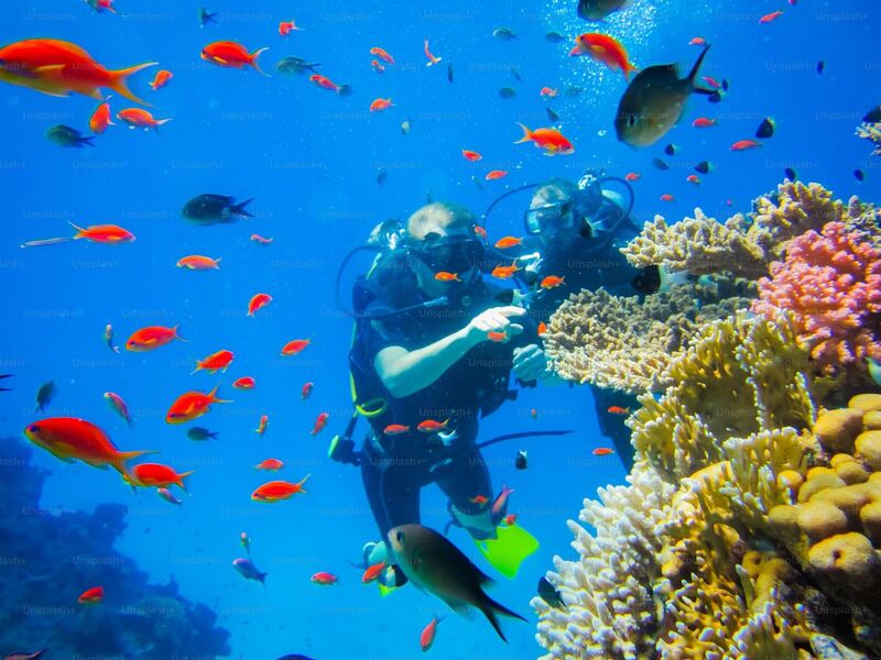 Sharm El Sheikh Turu - Pegasus HY ile 5 Gece - Gündüz Uçakları