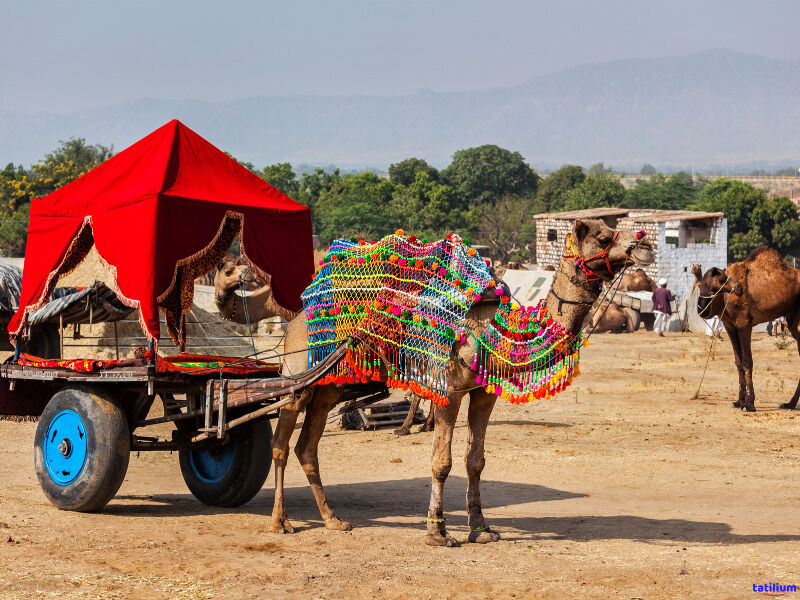 Elegant Fas & Çöl Safari Turu - Air Arabia HY ile 4 Gece - Ekstra Turlar Dahil