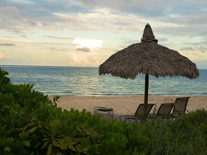 Doğu Amerika Turu - Miami & Orlando & New York - THY ile 7 Gece