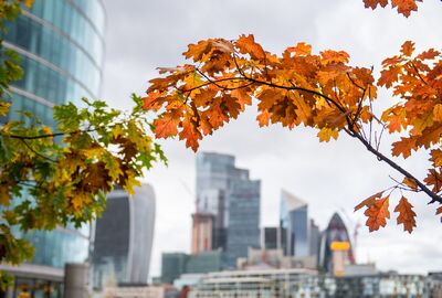 Royal Londra Turu - THY ile 3 Gece